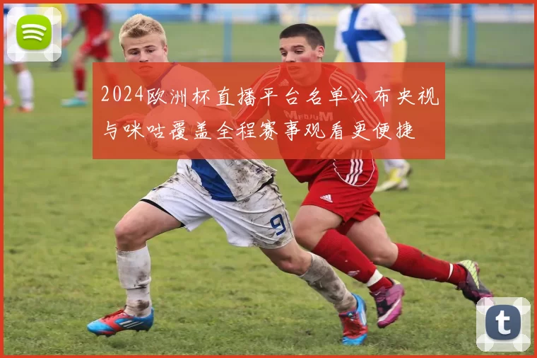 2024欧洲杯直播平台名单公布央视与咪咕覆盖全程赛事观看更便捷
