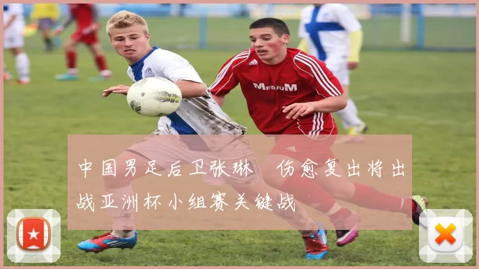 中国男足后卫张琳芃伤愈复出将出战亚洲杯小组赛关键战